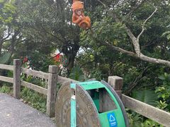 -海南铜鼓岭景区