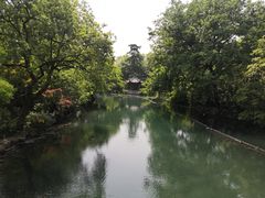 -西湖外事游船(花港观鱼码头)