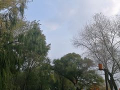 -长春市南湖公园