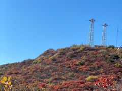 -北京西山国家森林公园