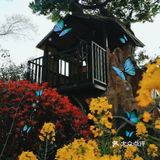 空中花园，宝宝来放电