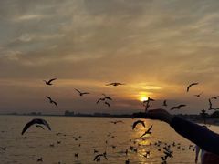 -老虎石海上公园