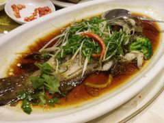 -鸿鑫海鲜楼(福辉店)
