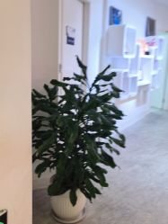 -天津伊美尔医疗整形美容专科医院