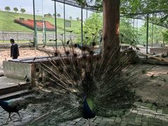 -南京金牛湖风景区