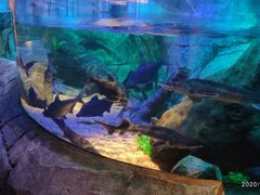 -沈阳海洋探索中心