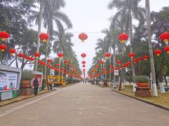 -万绿园