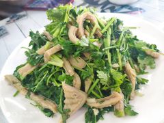 芫爆肚丝-清真鸿起来饭庄(复兴路店)