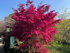 -白马涧龙池景区