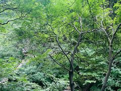 -少华山国家森林公园