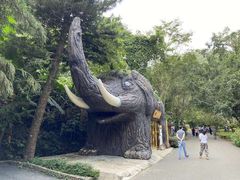 -野象谷景区