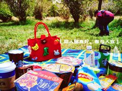 -南京市无想山景区