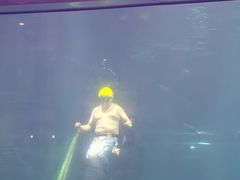 -福州罗源湾海洋世界旅游区