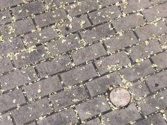 -我的中国梦证照摄影