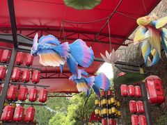 -杭州宋城