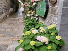 -花·fleur古董西餐厅(西城夜未央店)