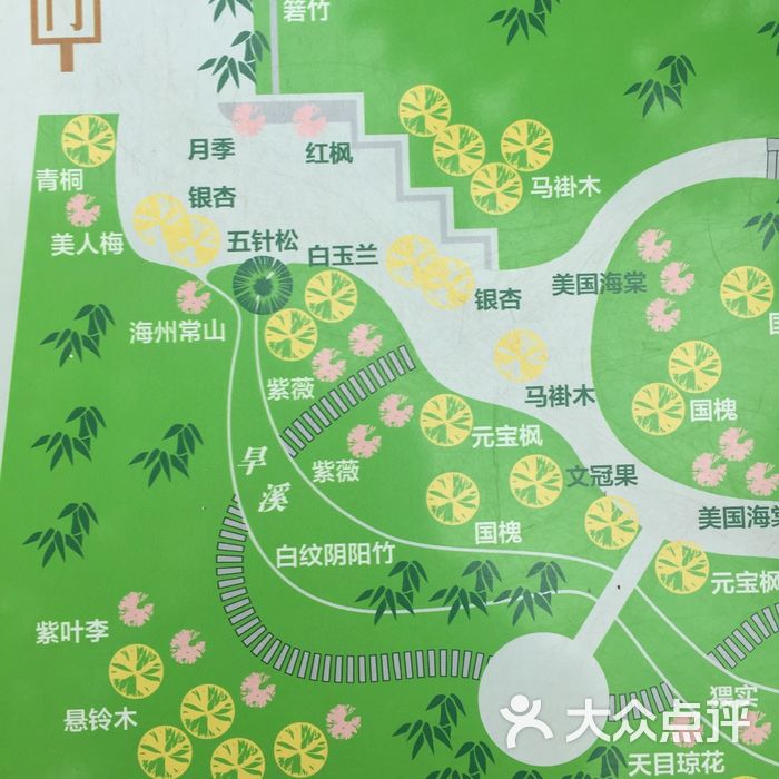 北京紫竹院公园平面图图片
