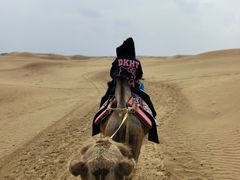 -银肯塔拉沙漠生态旅游景区