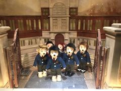 -济州岛泰迪熊博物馆