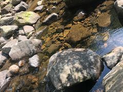 -白云源风景区