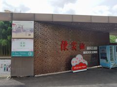 -陈家山荷花公园