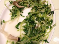 银芽翡翠苗-翠园(铜锣湾广场店)