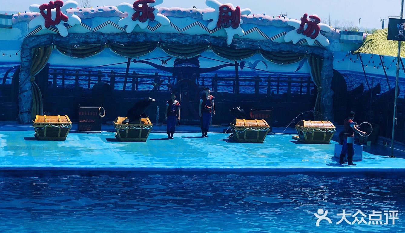 🐬🐬夏日遛娃好去处～青岛海昌极地海洋公园