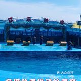 🐬🐬夏日遛娃好去处～青岛海昌极地海洋公园