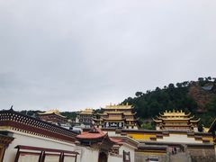 -四川郎木寺镇
