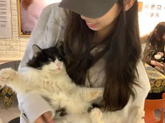 -平行世界·猫咖(首经贸店)