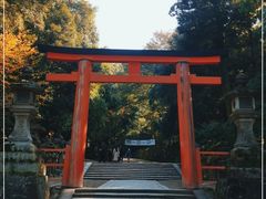 -奈良公园