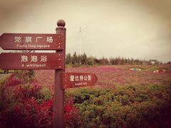 -北纬44度·金珠花海休闲农业旅游景区