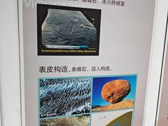 -中国第四纪冰川遗迹陈列馆