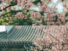 -迎泽公园