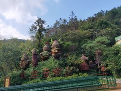 -木兰云雾山