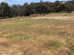 -威勒比开放式动物园