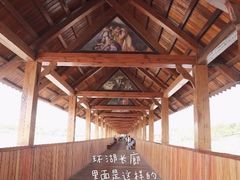 -九龙湖公园