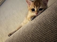 -酷宠动物医院(天通西苑店)