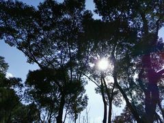 -昆山城市生态森林公园