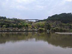 -飞凤山奥体公园