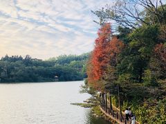 -深圳仙湖植物园