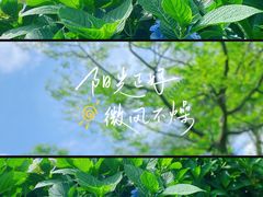 -鼓岭旅游度假区