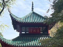 -岳麓山风景名胜区