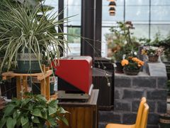 靠窗位-MUSEO COFFEE咖啡博物馆
