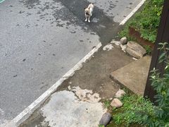 -原乡芦茨咖啡