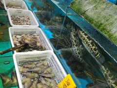 -崖口红树林海鲜餐厅