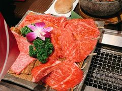 -俺的焼肉(銀座9丁目店)
