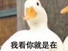 -花园饼屋·吐司蛋糕面包(星海店)