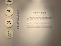 -侵华日军南京大屠杀遇难同胞纪念馆