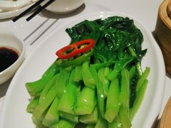 白灼菜心-渔人码头(中南店)
